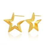 Pentagram earrings