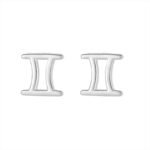 S925 Sterling Silver Twelve Zodiac Sign Earrings