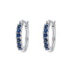 Zircon Studded Hoop Earrings